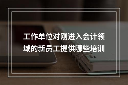 工作单位对刚进入会计领域的新员工提供哪些培训