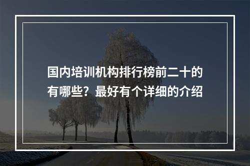 国内培训机构排行榜前二十的有哪些？最好有个详细的介绍