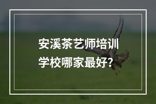 安溪茶艺师培训学校哪家最好？