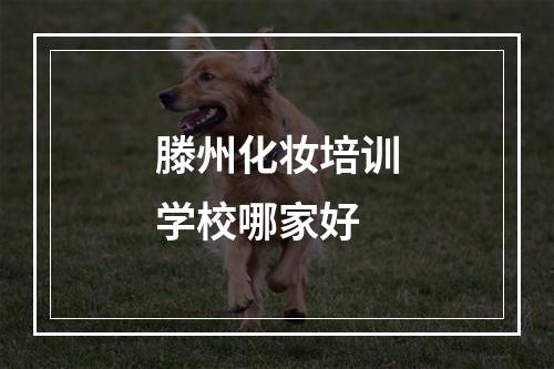 滕州化妆培训学校哪家好