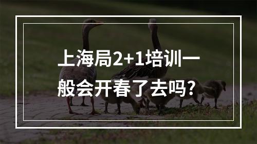 上海局2+1培训一般会开春了去吗?