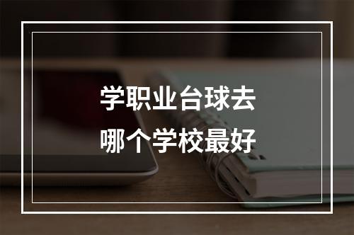 学职业台球去哪个学校最好