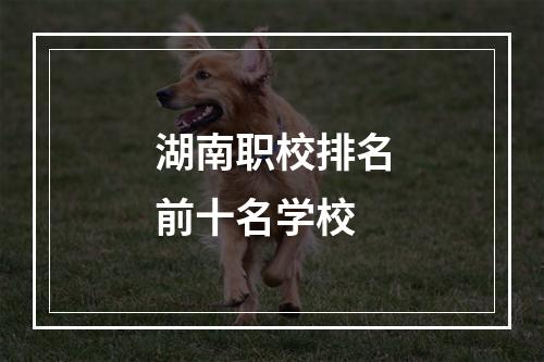 湖南职校排名前十名学校