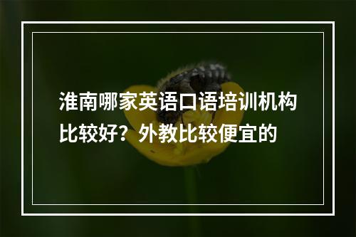 淮南哪家英语口语培训机构比较好？外教比较便宜的