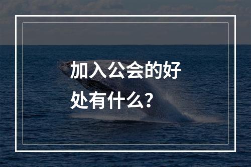 加入公会的好处有什么？