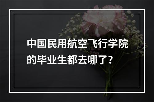 中国民用航空飞行学院的毕业生都去哪了？