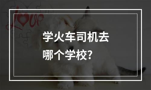 学火车司机去哪个学校?