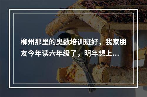 柳州那里的奥数培训班好，我家朋友今年读六年级了，明年想上个好学校，但不在学区？在那读好一点。