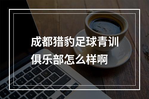 成都猎豹足球青训俱乐部怎么样啊