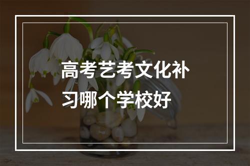 高考艺考文化补习哪个学校好