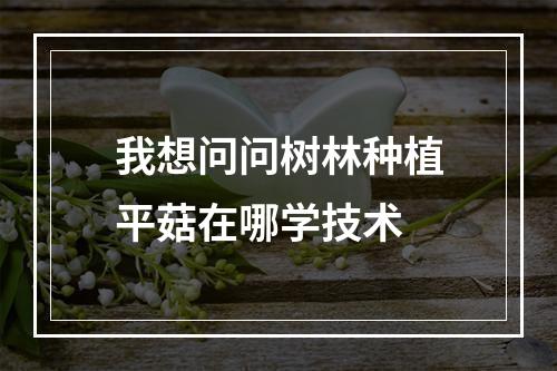 我想问问树林种植平菇在哪学技术