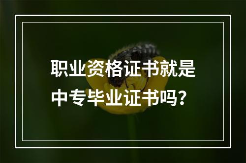 职业资格证书就是中专毕业证书吗？