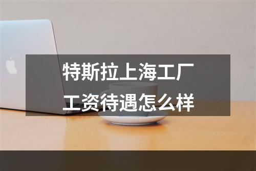 特斯拉上海工厂工资待遇怎么样