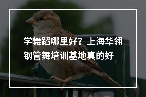 学舞蹈哪里好？上海华翎钢管舞培训基地真的好