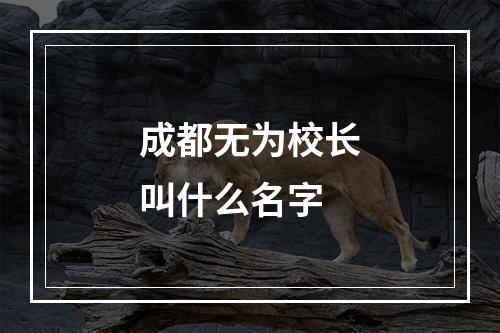 成都无为校长叫什么名字