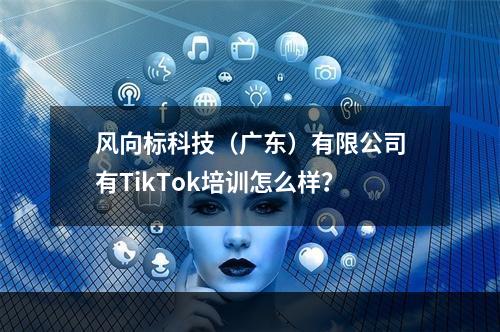 风向标科技（广东）有限公司有TikTok培训怎么样？