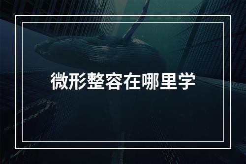 微形整容在哪里学