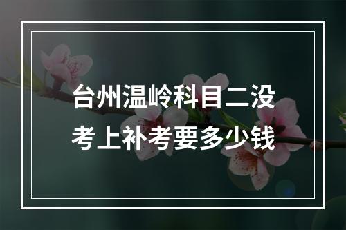 台州温岭科目二没考上补考要多少钱