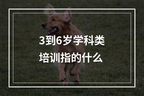 3到6岁学科类培训指的什么