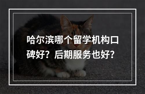 哈尔滨哪个留学机构口碑好？后期服务也好？