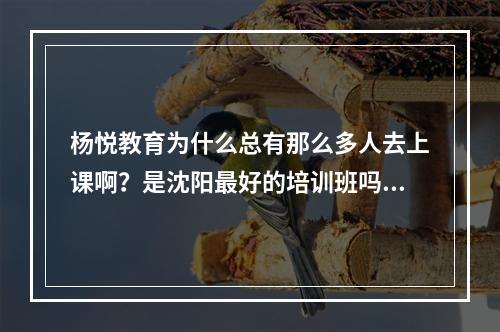 杨悦教育为什么总有那么多人去上课啊？是沈阳最好的培训班吗?