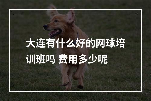 大连有什么好的网球培训班吗 费用多少呢