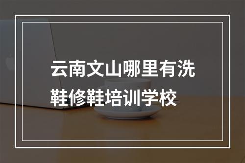 云南文山哪里有洗鞋修鞋培训学校