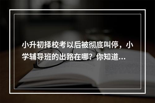 小升初择校考以后被彻底叫停，小学辅导班的出路在哪？你知道吗？