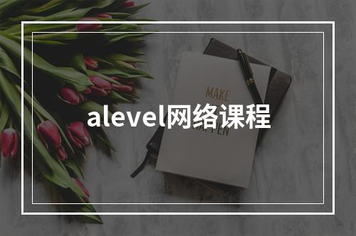 alevel网络课程