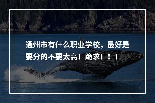 通州市有什么职业学校，最好是要分的不要太高！跪求！！！