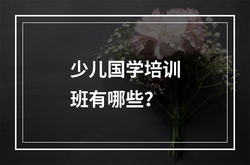 少儿国学培训班有哪些？