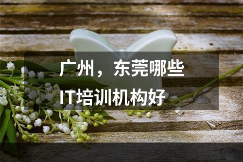 广州，东莞哪些IT培训机构好