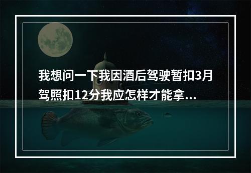 我想问一下我因酒后驾驶暂扣3月驾照扣12分我应怎样才能拿回驾照 ,学习交费吗?