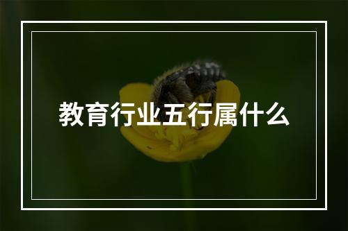 教育行业五行属什么