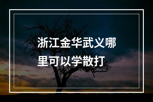 浙江金华武义哪里可以学散打