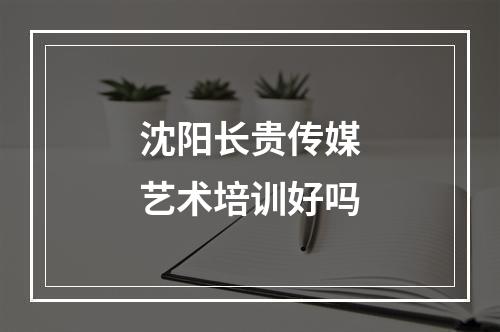 沈阳长贵传媒艺术培训好吗