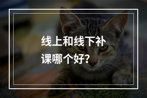 线上和线下补课哪个好？