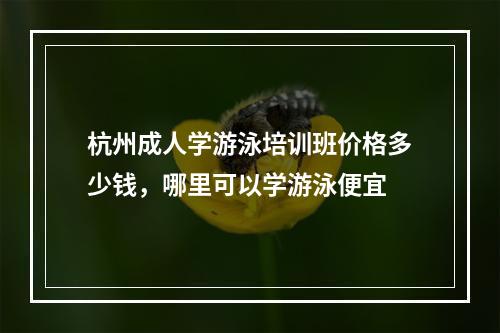 杭州成人学游泳培训班价格多少钱，哪里可以学游泳便宜