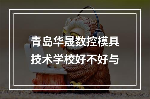 青岛华晟数控模具技术学校好不好与