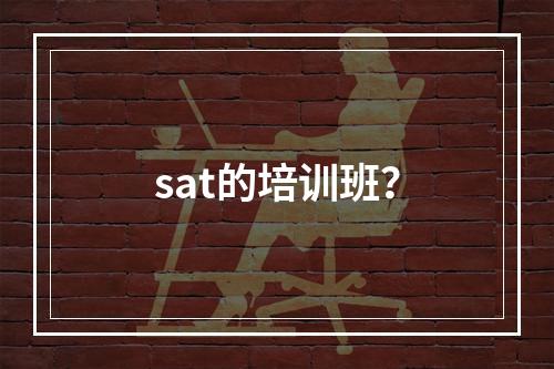 sat的培训班？