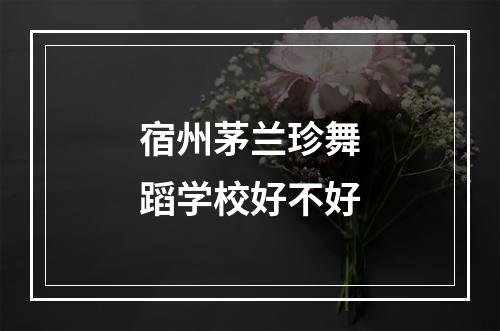 宿州茅兰珍舞蹈学校好不好