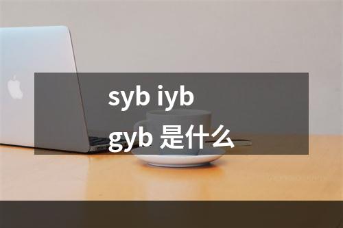 syb iyb gyb 是什么