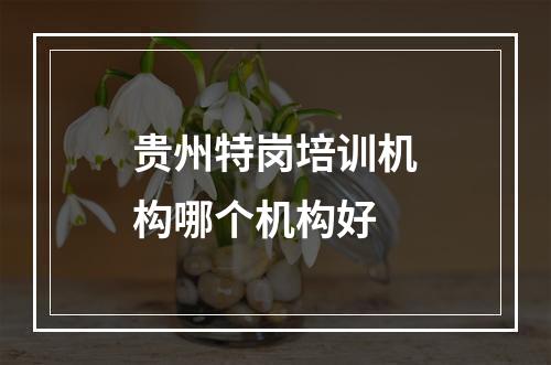 贵州特岗培训机构哪个机构好