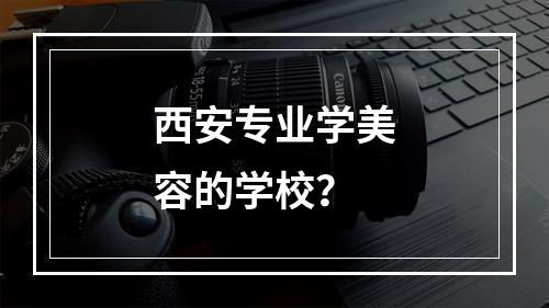 西安专业学美容的学校？