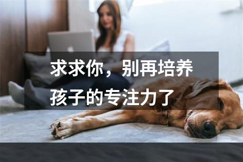 求求你，别再培养孩子的专注力了