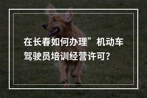 在长春如何办理”机动车驾驶员培训经营许可？