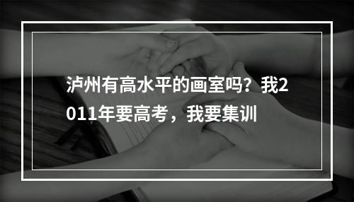 泸州有高水平的画室吗？我2011年要高考，我要集训