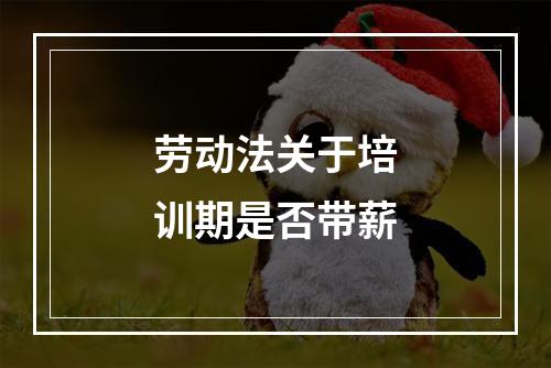 劳动法关于培训期是否带薪