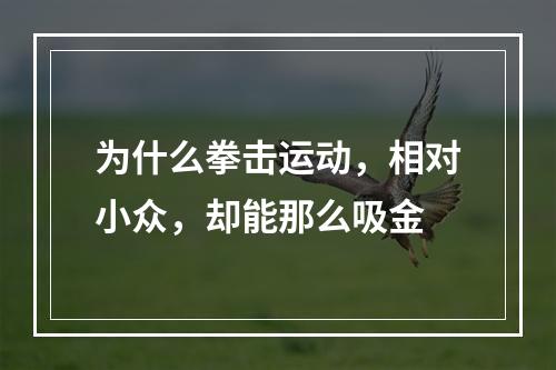 为什么拳击运动，相对小众，却能那么吸金