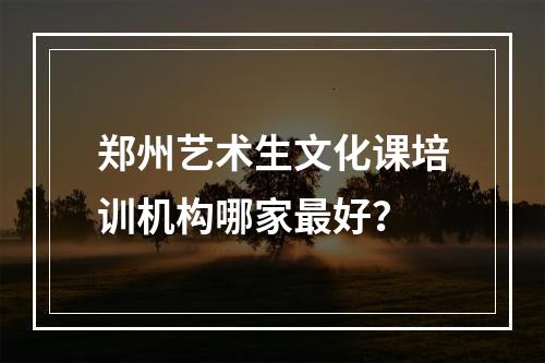 郑州艺术生文化课培训机构哪家最好？